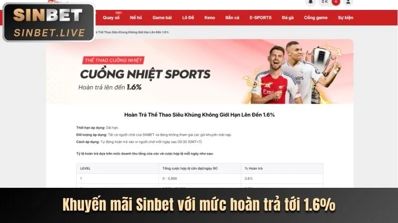 Hoàn trả cược thua thể thao hàng tuần